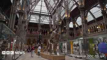 UK's oldest museum of natural history gets new look