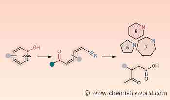 Simple reagent slices open phenol rings, converts them into various nitrogen-containing products