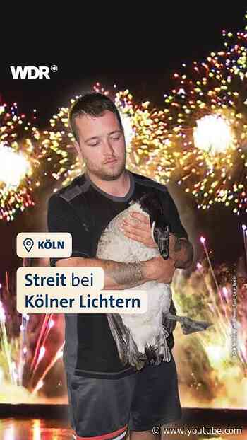 Tierschützer kritisieren Kölner Lichter | WDR #shorts