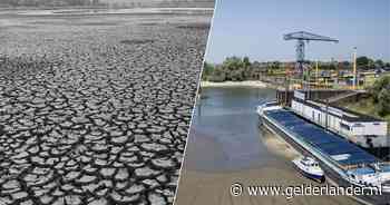 De Rijn zakt, de zorgen stijgen: waarom deze zomer zo aan die van 1976 doet denken