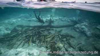 Spektakulärer Fund vor Sizilien: Taucher entdecken 2.000 Jahre altes Römer-Schiffswrack