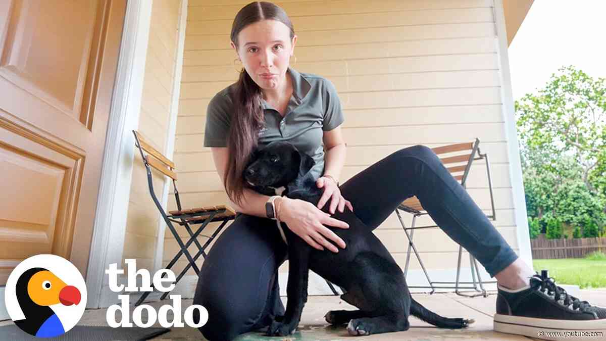 Dog Wandered The Neighborhood For A Month Before Showing Up On Her Porch | The Dodo