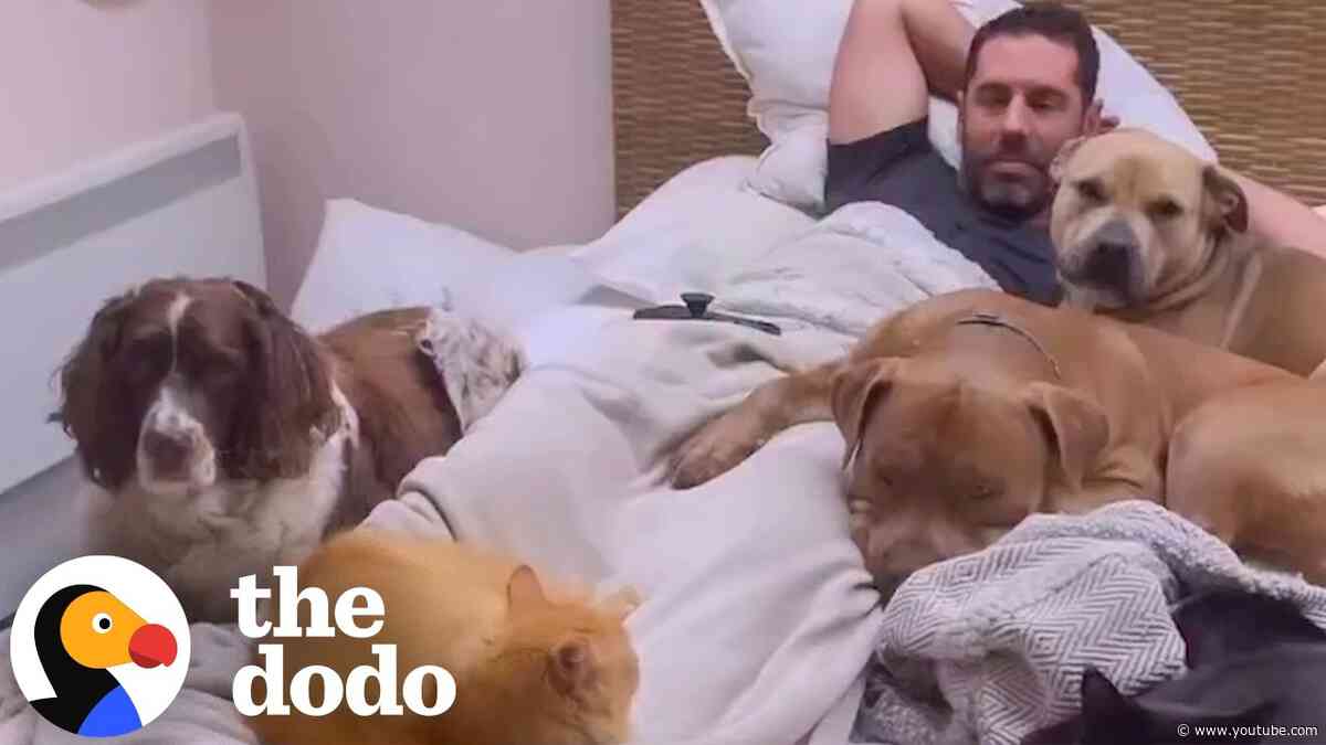 Couple Learns 20+ Rescue Animals Are Harder Than Kids | The Dodo
