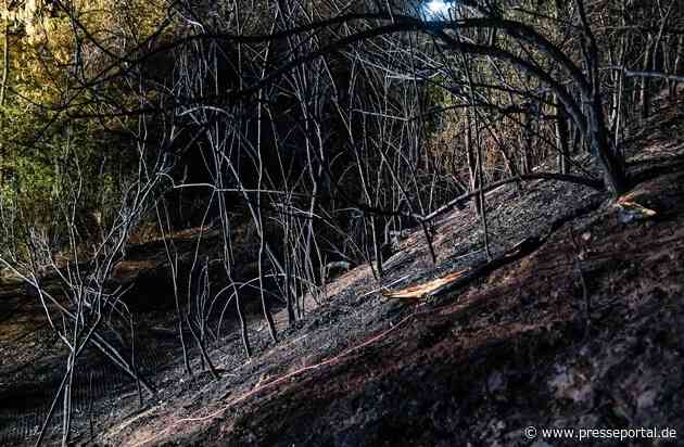 Feuerwehr MTK: Vegetationsbrand in Hattersheim nach rund 18 Stunden beendet - Brandwache musste in der Nacht weitere Brandnester ablöschen