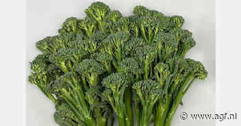 Verpakking verlengt houdbaarheid broccoletti