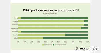 Nederlandse consumptie en invoer meloenen nemen toe in recordjaar