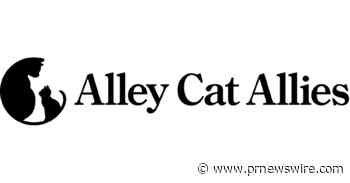Alley Cat Allies entrega agua y comida de emergencia para gatos a fin de ayudar a los gatos y a sus cuidadores de San Juan durante la crisis del agua en Puerto Rico