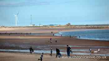 Northumberland beach pollution warning issued after 'strong-smelling substance' discovered