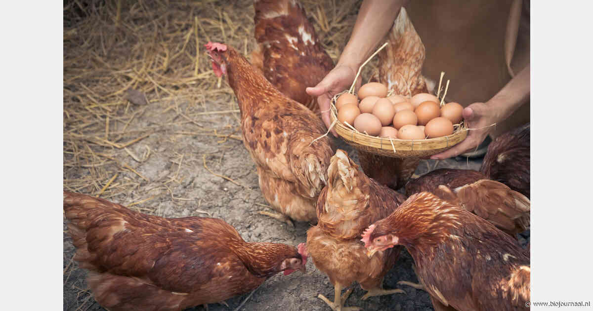 Ook biologische bedrijven krijgen te maken met PFAS-verontreiniging
