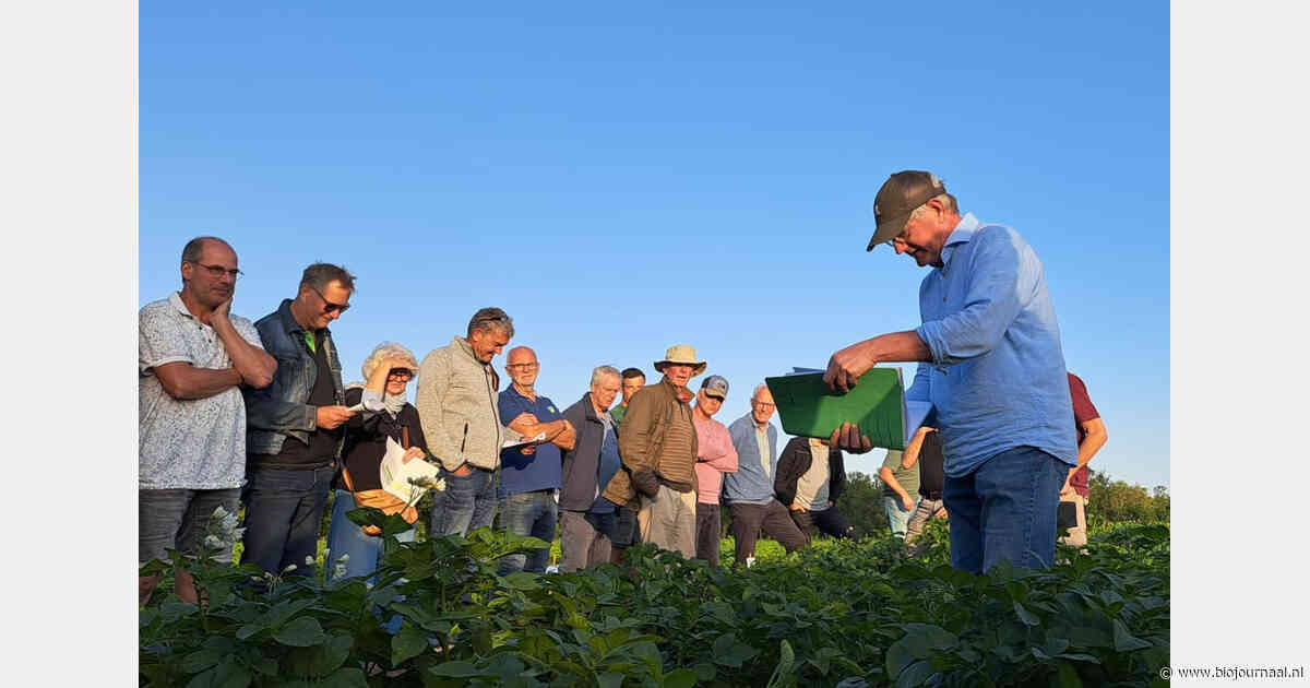 Rustig phytophthoraseizoen geen reden om waakzaamheid te laten verslappen