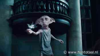 'Harry Potter'-fans krijgen het onmogelijke voor elkaar en redden Dobby's graf van miljoenenproject