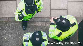 Medical emergency halts hearing for South London boys, 12 and 14, charged with attempted murder