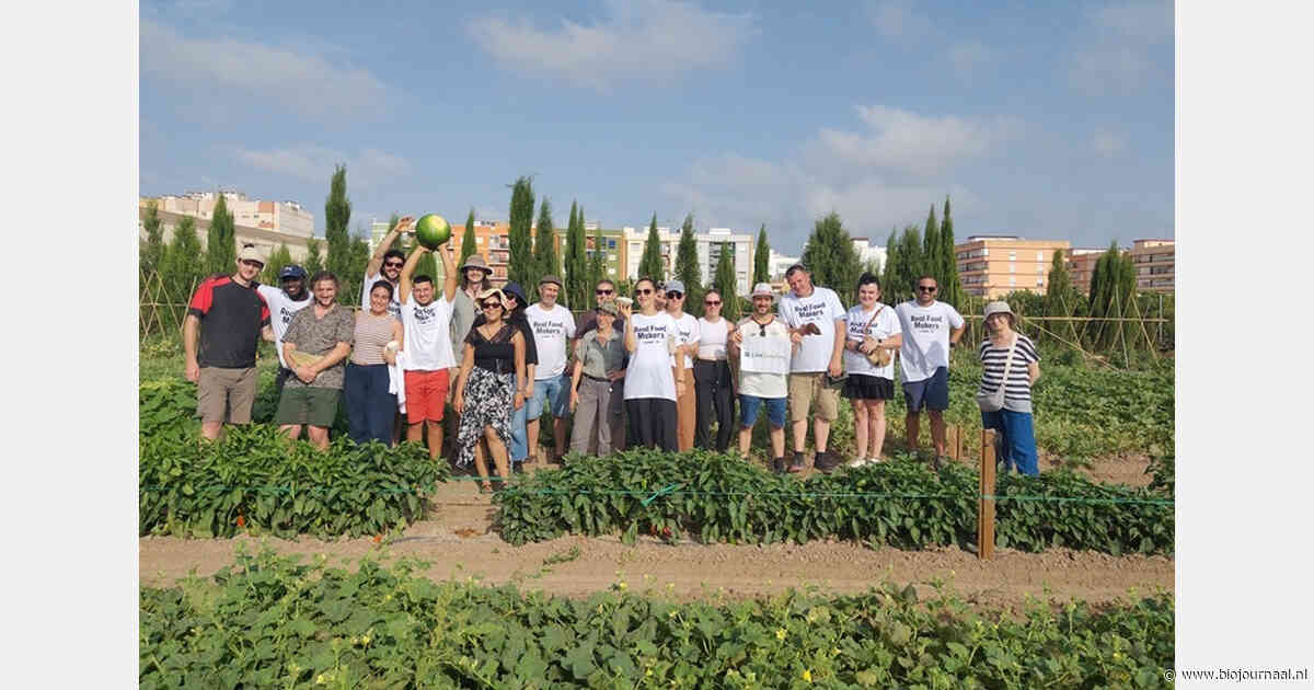 Zomerschool van FiBL in Spanje brengt kennis over biologische plantenveredeling samen