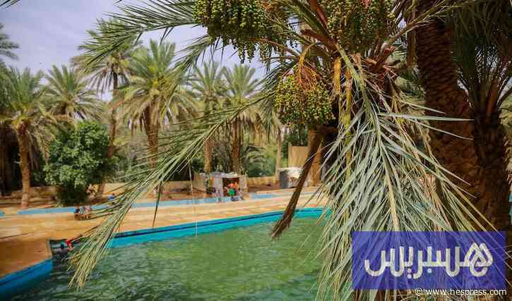 زخات ورياح وحر في مناطق بالمملكة