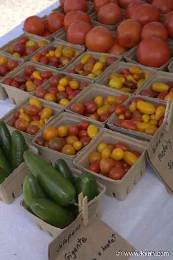 Rain or shine: How farmers markets create connection within communities