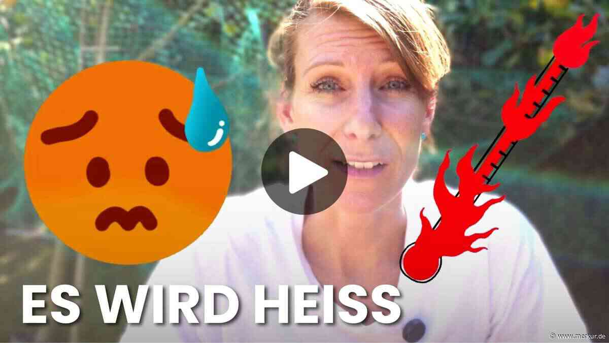 Heißestes Wochenende des Jahres: DWD-Warnung für Bayern im Video