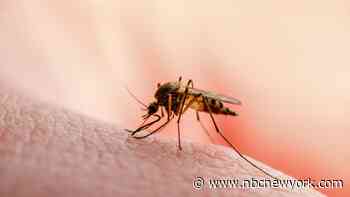 West Nile detected in 89 NYC ZIP codes so far this year. Here's the full list