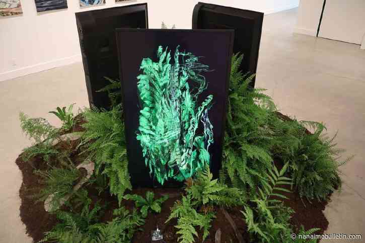 New exhibition in Nanaimo Art Gallery focusing on effects of climate change