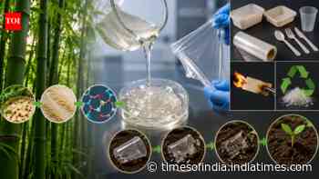 China scientists turn bamboo cellulose into strong, heat-resistant plastic