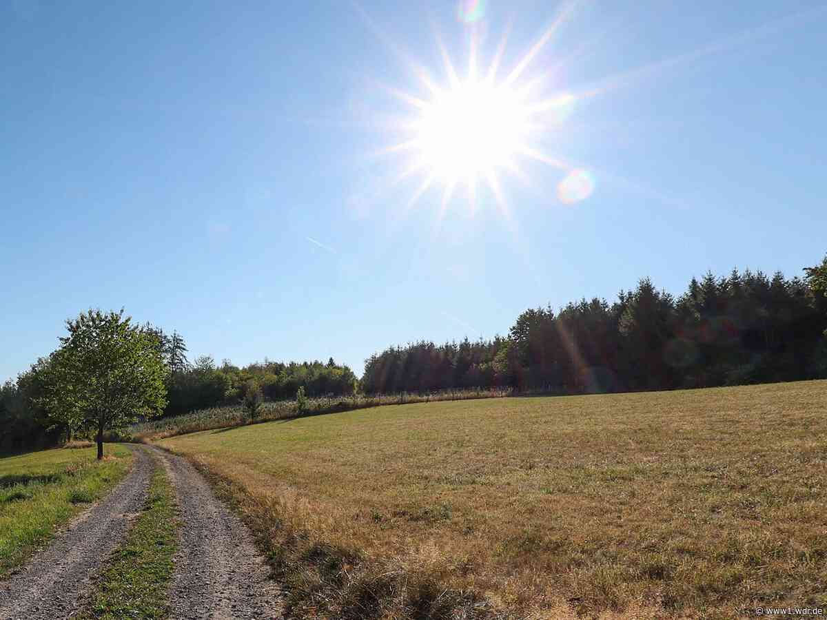NRW-Wetter: Hitzewarnung am Freitag, Regen am Samstag