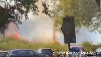 Sefton Park set on fire by 'unattended BBQ'