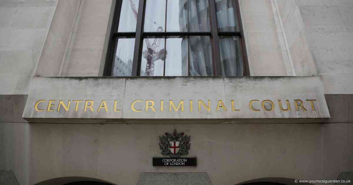 Attempted murder hearing for two brothers halted after boy has 'panic attack'