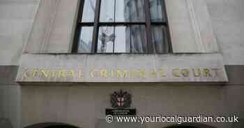 Attempted murder hearing for two brothers halted after boy has 'panic attack'