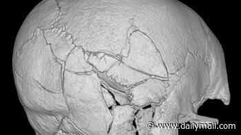 The Scottish soldier whose skull was crushed by a trebuchet: Skeleton found at Stirling castle is first confirmed victim of trebuchet attack