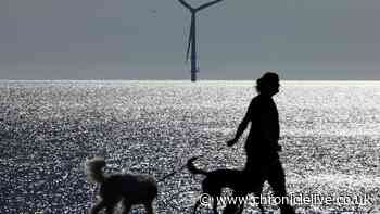 Environment Agency dog owners warning amid Northumberland beach pollution investigation
