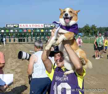 What is the Saratoga Corgi Cup? Everything to know about the ridiculously cute races