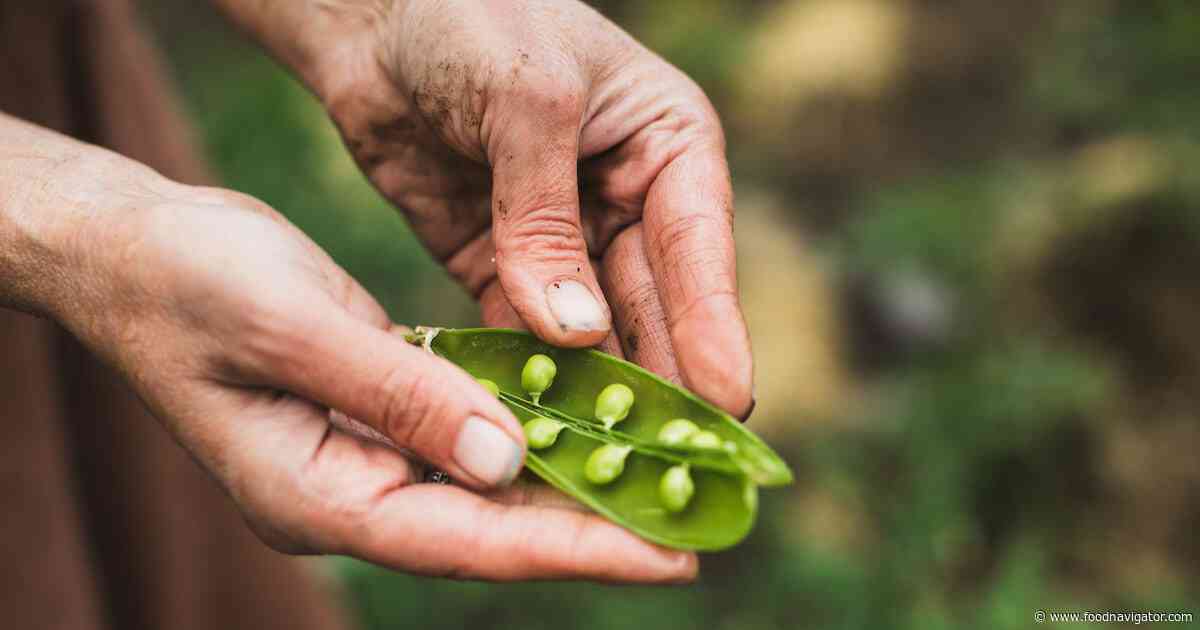 The new sustainability playbook starts with suppliers