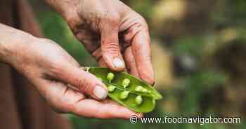 The new sustainability playbook starts with suppliers