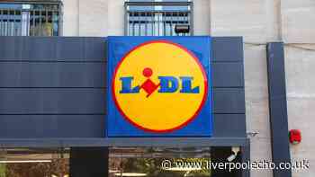 What's in Lidl's Middle Aisle this week from beauty tools to plant baskets