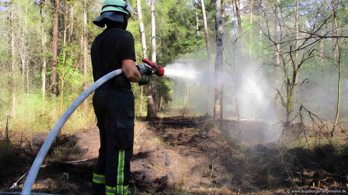 Waldbrandgefahr in Augsburg weiter sehr hoch: Ist die Stadt für den Ernstfall gerüstet?