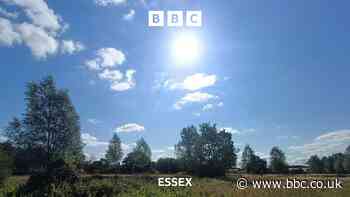 Amber heat health alert for Essex: Latest forecast