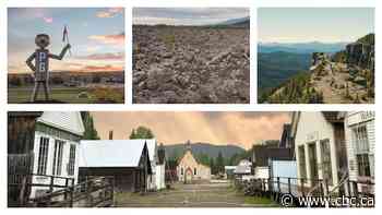 Search for B.C.'s best roadside attraction: Northern semifinals