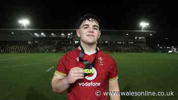 Cardiff target Bristol Bears prop tipped as Tomas Francis' Wales successor