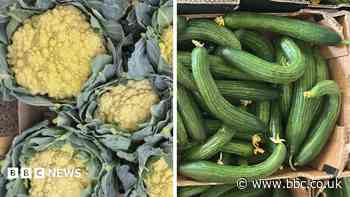 Sun-tanned cauliflowers and knobbly spuds - the heatwave veg that's good to eat