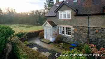 'Super cosy' Northumberland cottage with sea views and beaches minutes away
