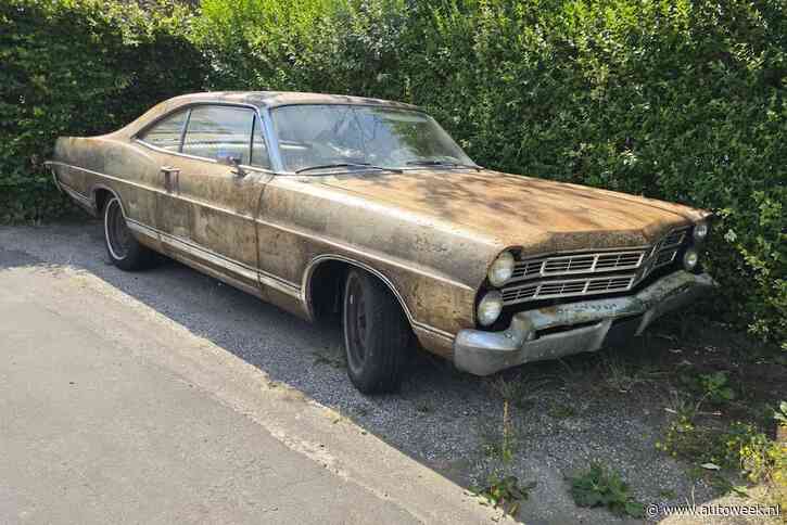 Deze bijna 60 jaar oude Ford is met schuurpapier bewerkt - In het Wild