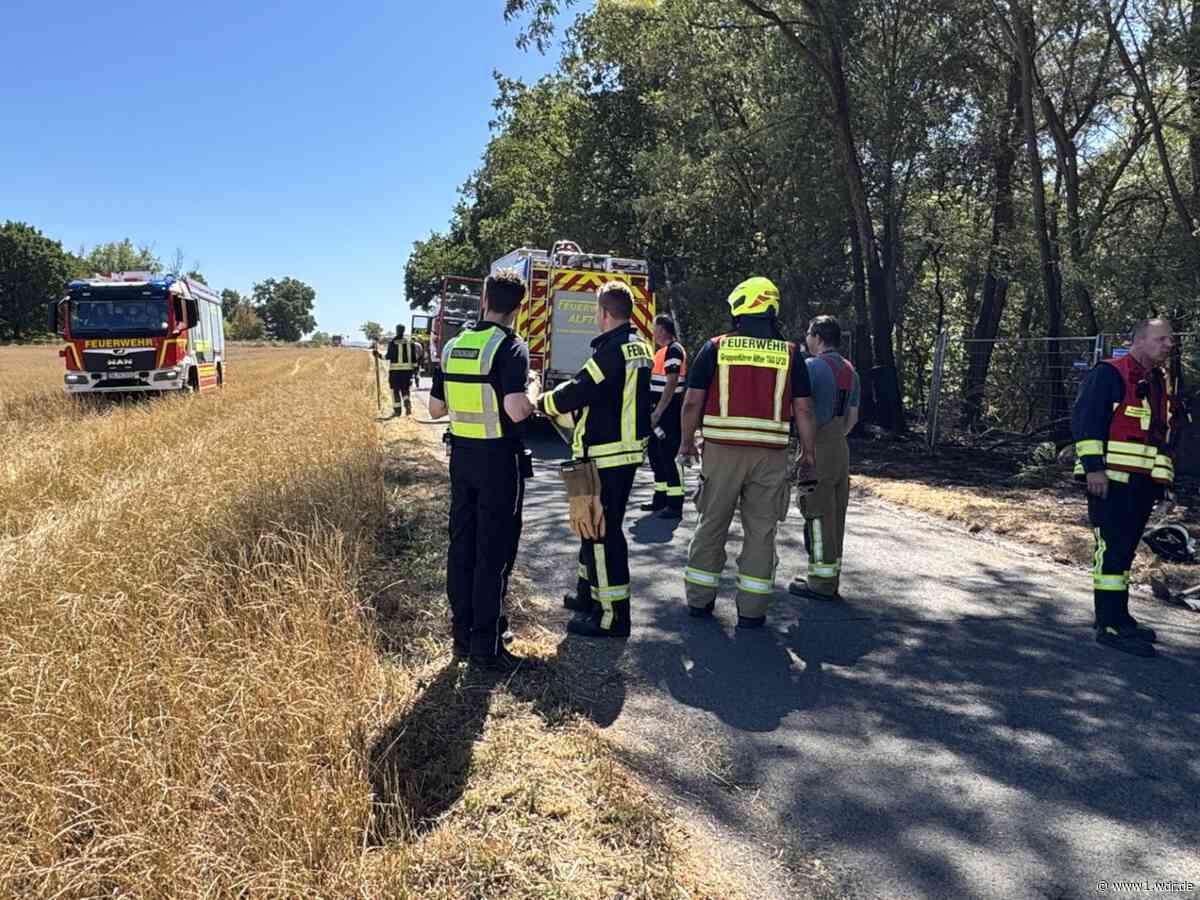 Freiwillige Feuerwehr aus Alfter löscht Waldbrand