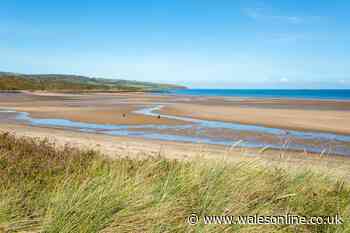 Woman suffers 'painful' jellyfish sting 'in eye' off Anglesey beach