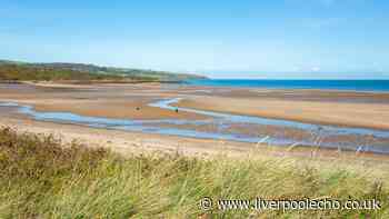 Woman in A&E after stung in eye by jellyfish at coastal spot