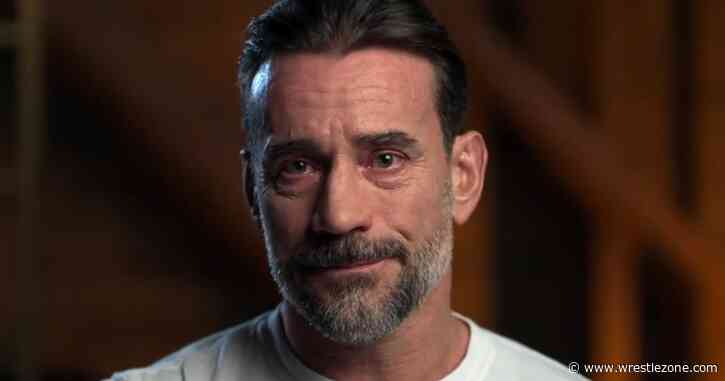 Former TNA Star Admits He Blamed CM Punk For Ruining His WWE Opportunity