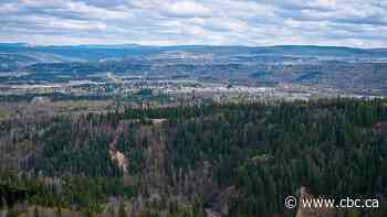B.C. Conservative Party worried Quesnel pulp mill curtailment could be permanent