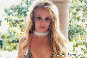 Britney Spears Claims Paparazzo Posed as Maid and Was 'Paid Big Time' To Spy on Her Home