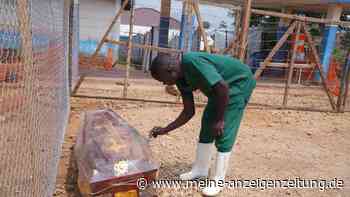 Ebola in weiterer Provinz im Kongo festgestellt