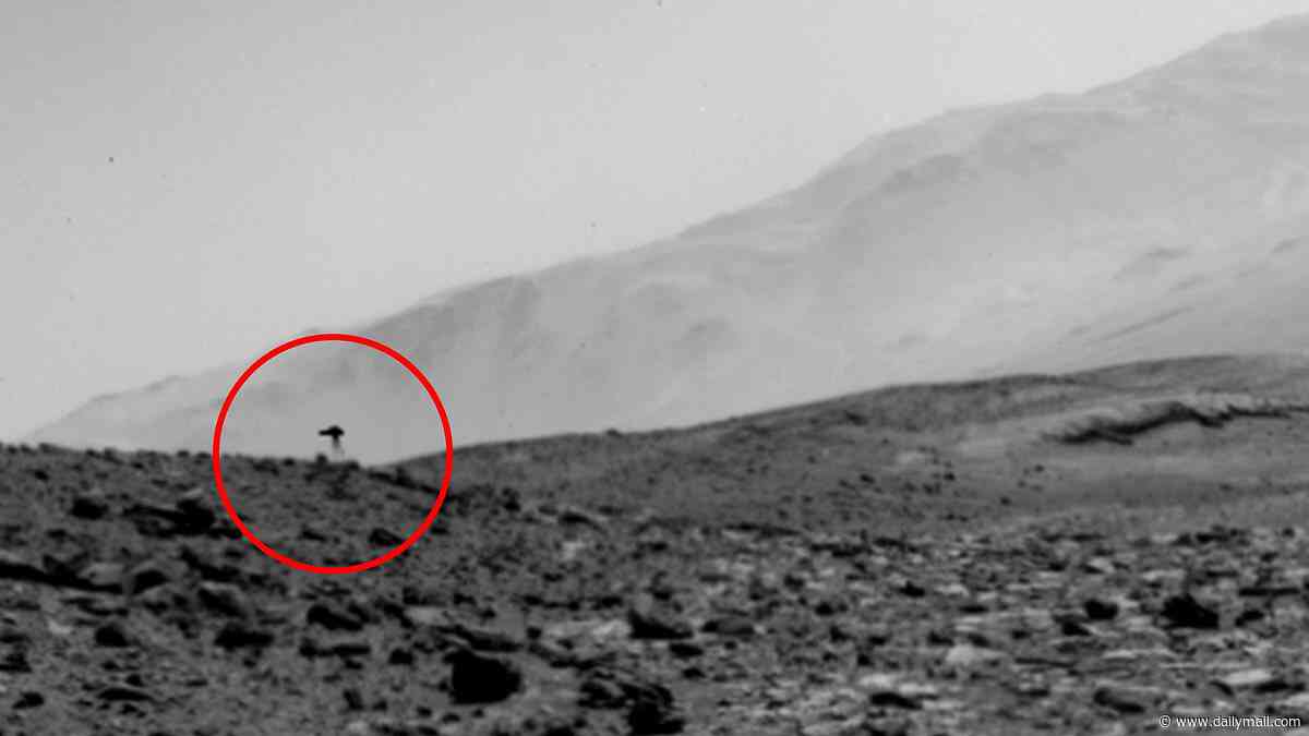 Mysterious 'jellyfish' spotted in NASA Mars photo sparks theories of life on the Red Planet