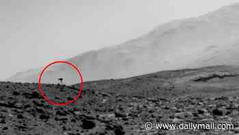 Mysterious 'jellyfish' spotted in NASA Mars photo sparks theories of life on the Red Planet