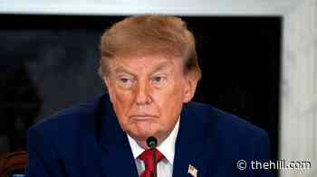 Dick Cheney's cardiologist: Trump 'has not looked well'